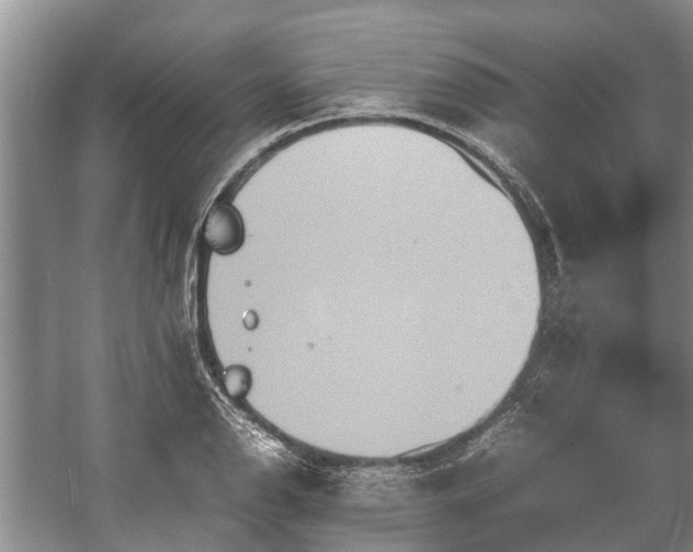 X0000057061126200509161445