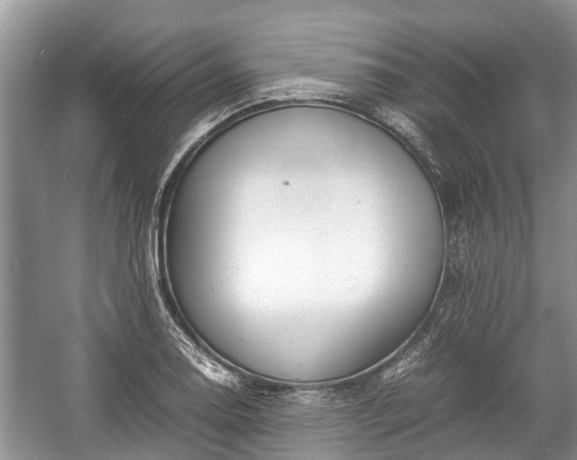 X0000057061130200509161445