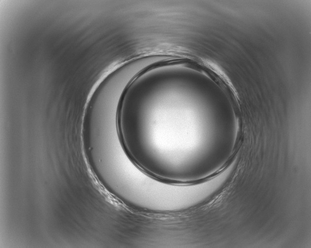 X0000057061138200509161445