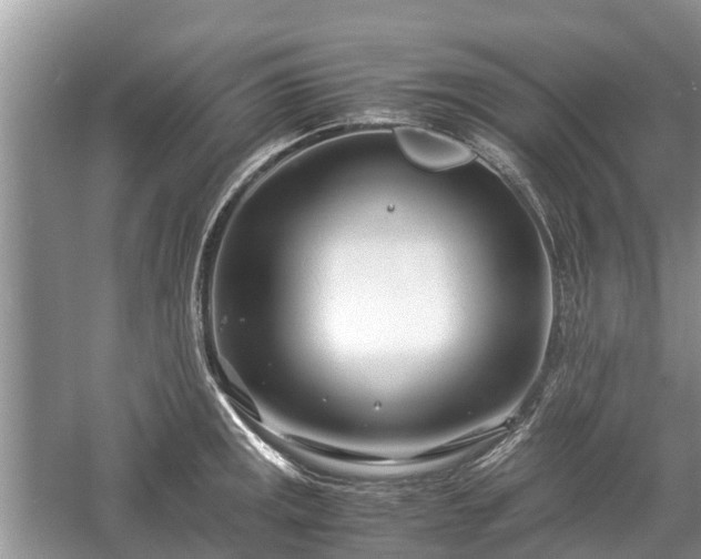 X0000057061141200509161445