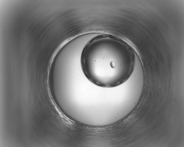 X0000057061144200509161445