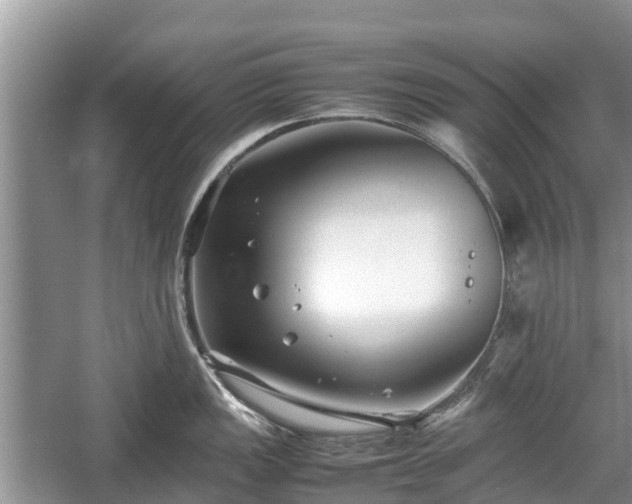 X0000057061149200509161445