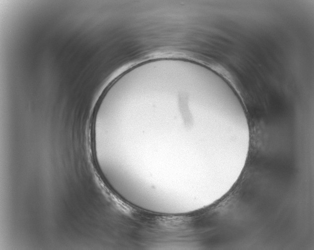 X0000057061150200509161445