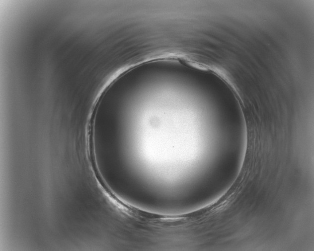 X0000057061151200509161445