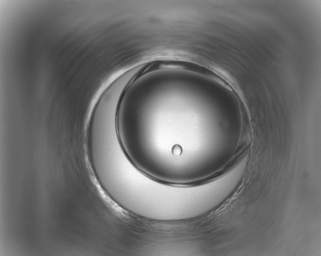 X0000057061152200509161445