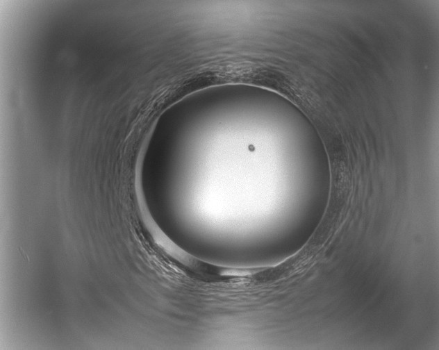 X0000057061153200509161444