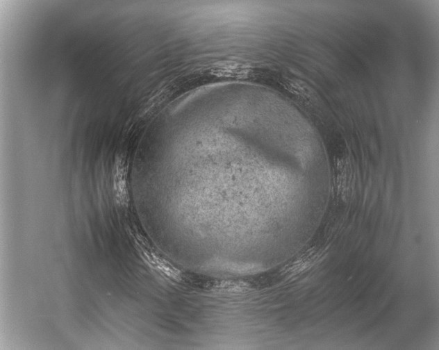 X0000057061154200509161444