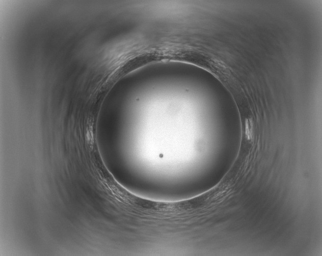 X0000057061155200509161444