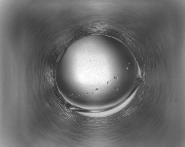 X0000057061156200509161444