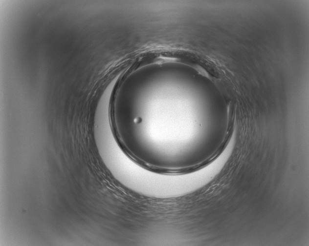 X0000057061157200509161444