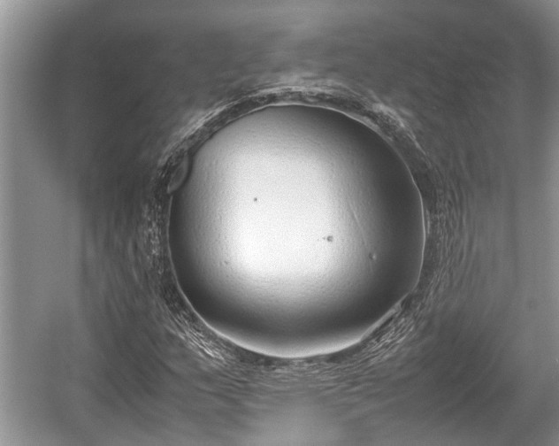 X0000057061159200509161444