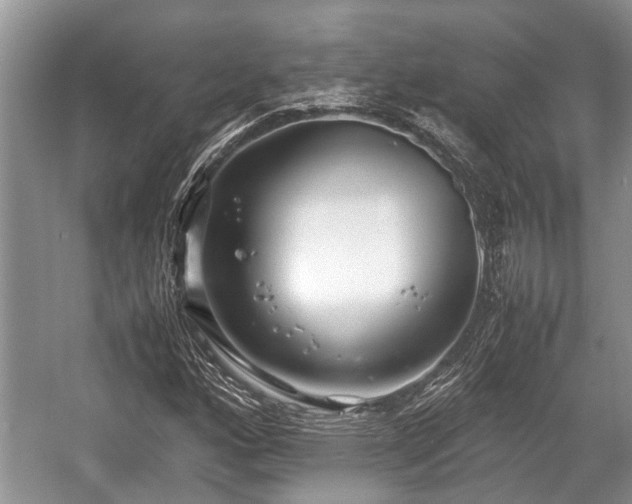 X0000057061160200509161444