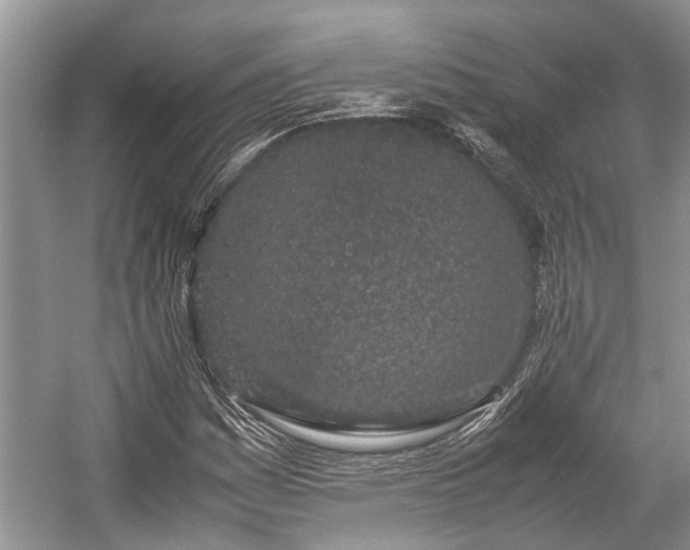 X0000057061161200509161444