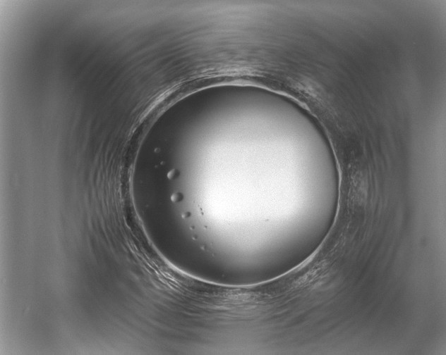 X0000057061162200509161444