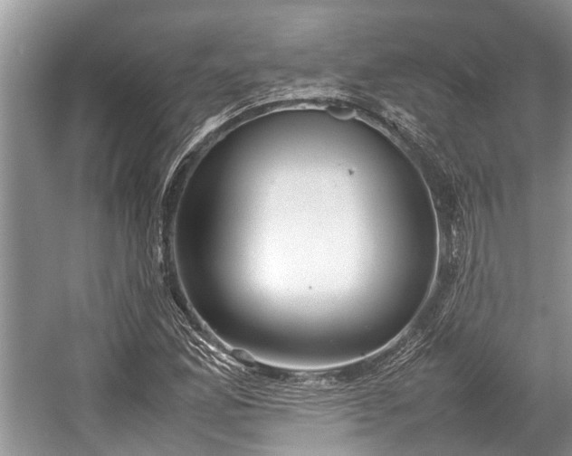 X0000057061165200509161444