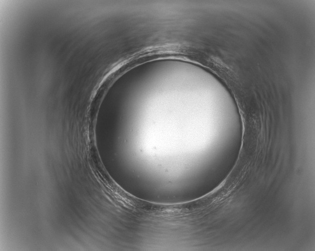 X0000057061166200509161444