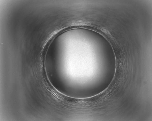 X0000057061167200509161444