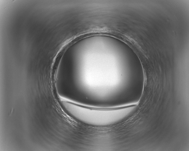 X0000057061168200509161444