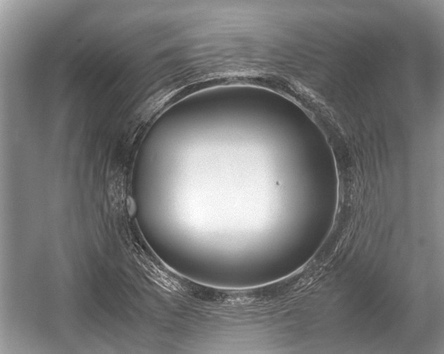 X0000057061169200509161444