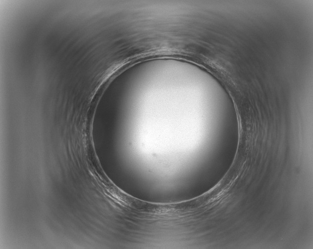 X0000057061170200509161444