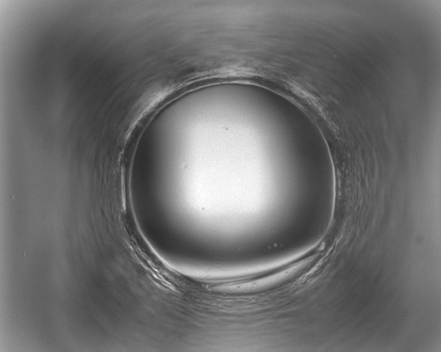 X0000057061171200509161444