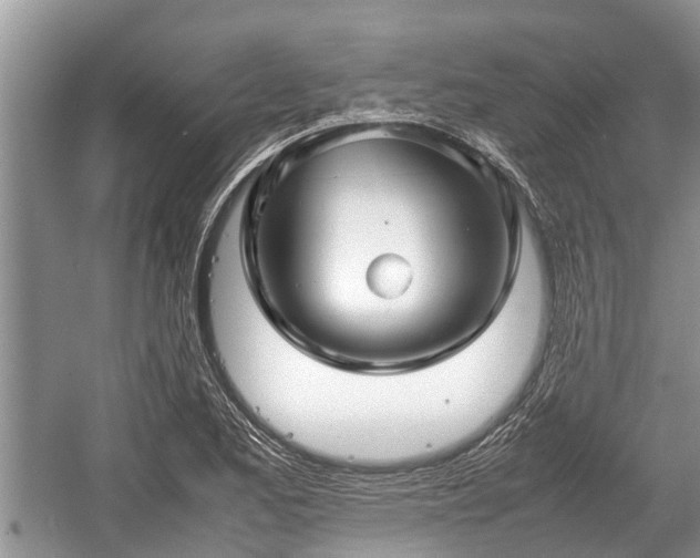 X0000057061173200509161444