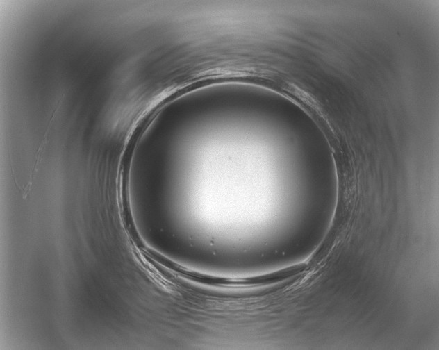 X0000057061179200509161444