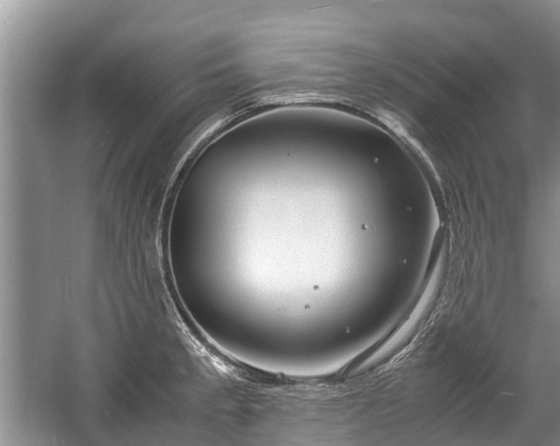 X0000057061189200509161444