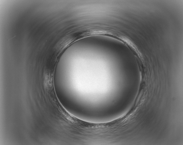 X0000057061193200509161443