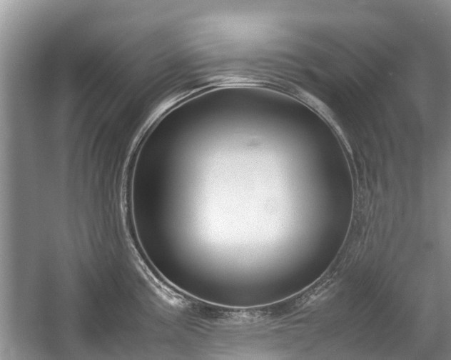 X0000057061195200509161443