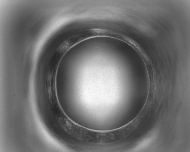 X0000057061199200509161443