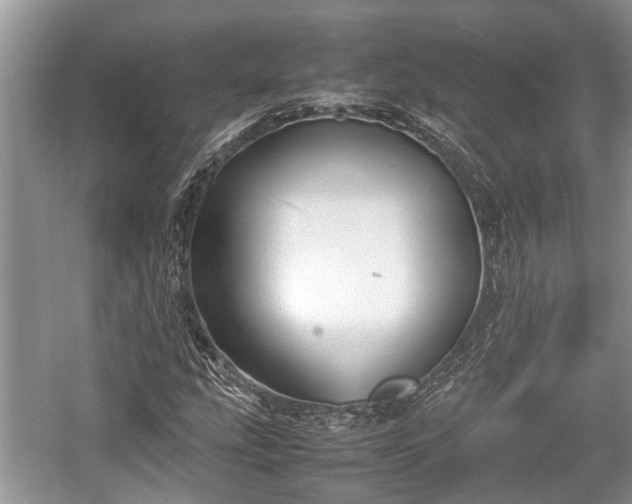 X0000057061207200509161443