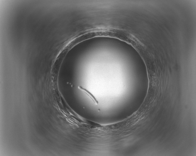 X0000057061208200509161443