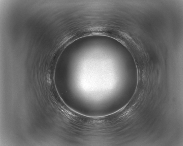 X0000057061209200509161443