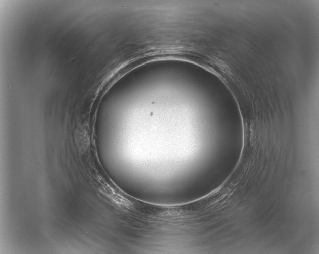 X0000057061212200509161443