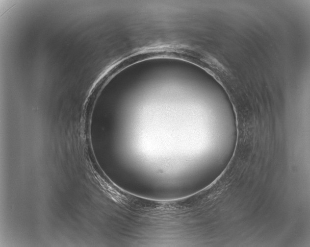 X0000057061216200509161443