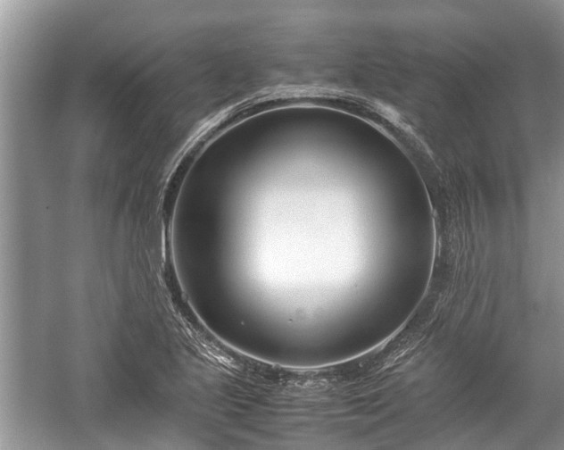 X0000057061221200509161443