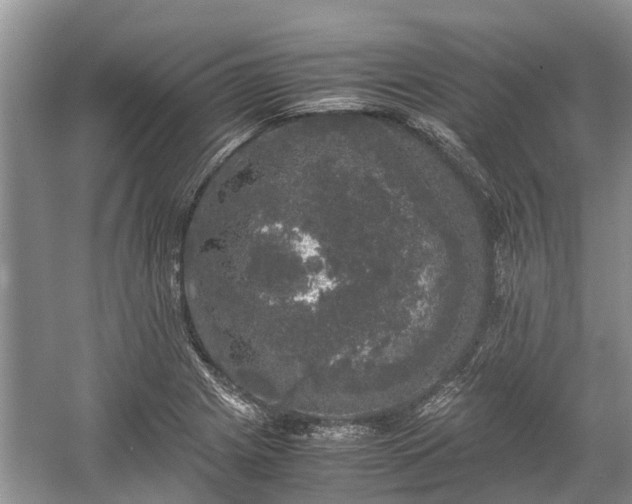 X0000057061225200509161443