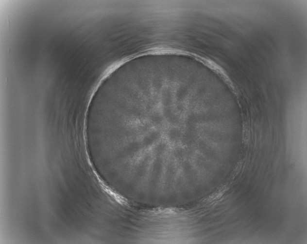 X0000057061231200509161443