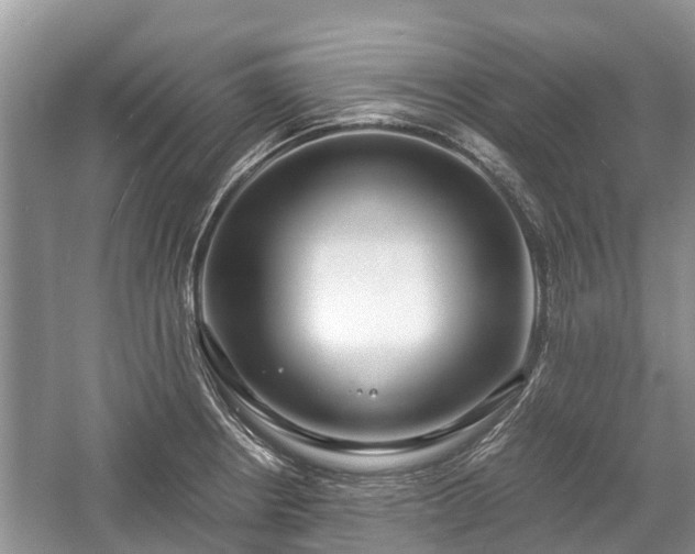 X0000057061234200509161443