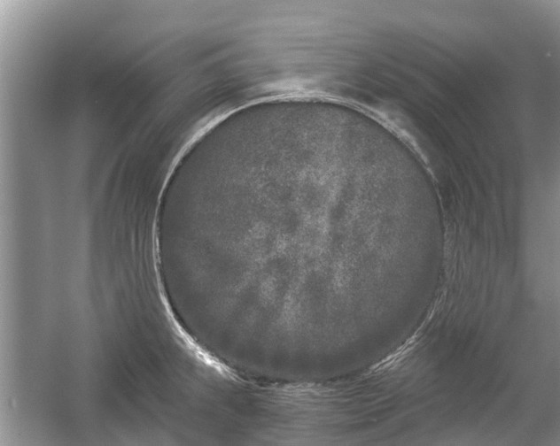 X0000057061239200509161443