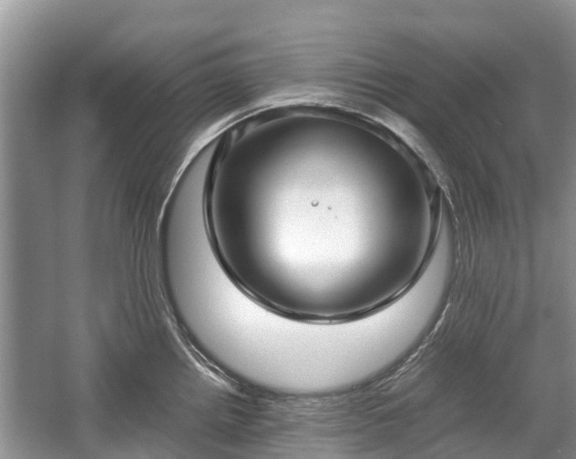 X0000057061242200509161443