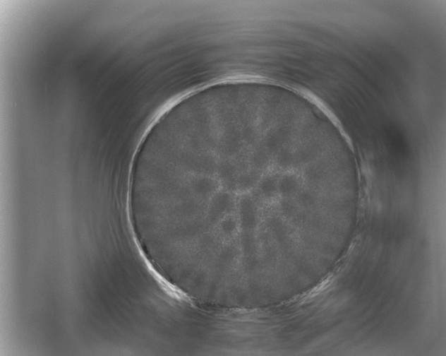 X0000057061245200509161443