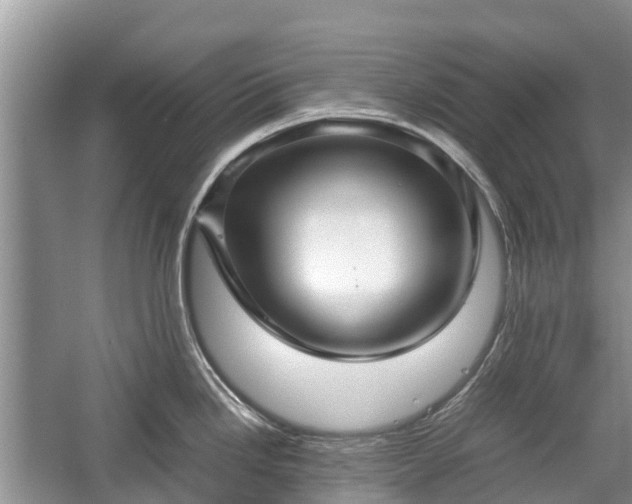 X0000057061246200509161443