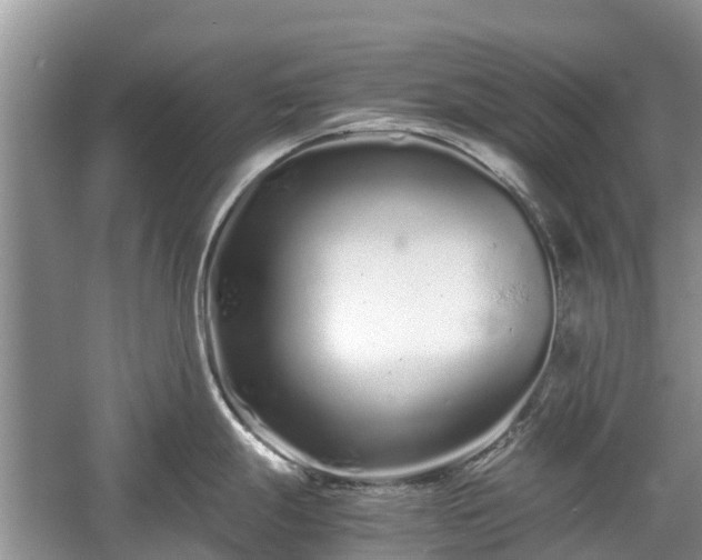 X0000057061247200509161443