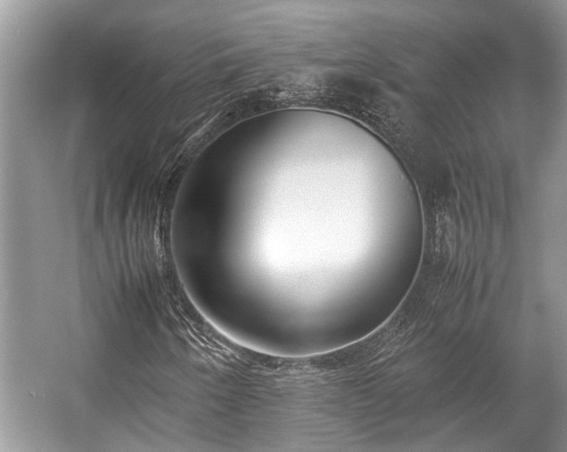 X0000057061250200509161443