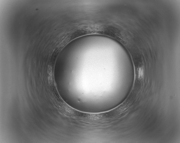 X0000057061251200509161443