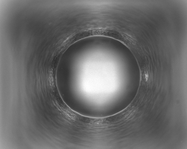 X0000057061252200509161442