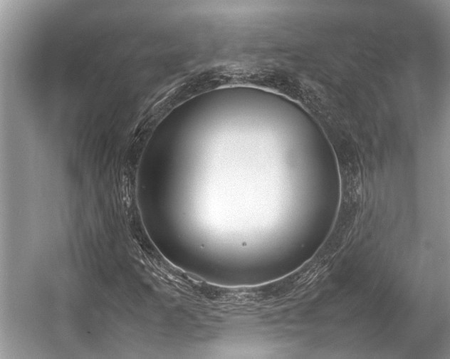 X0000057061253200509161442