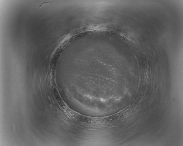 X0000057061254200509161442